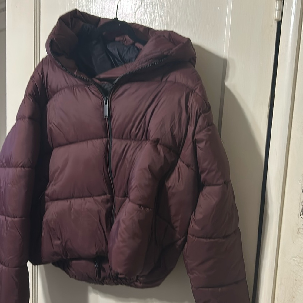 Calvin Klein cropped hooded jacket in Chocolate.
